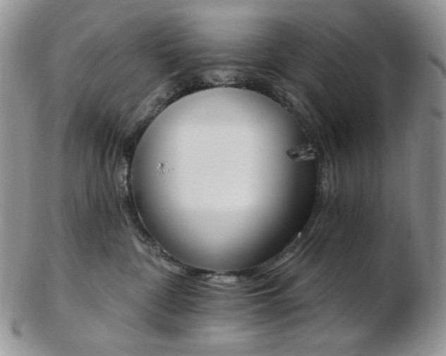 X0000102870332200808251247