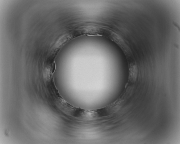 X0000102870333200808251247