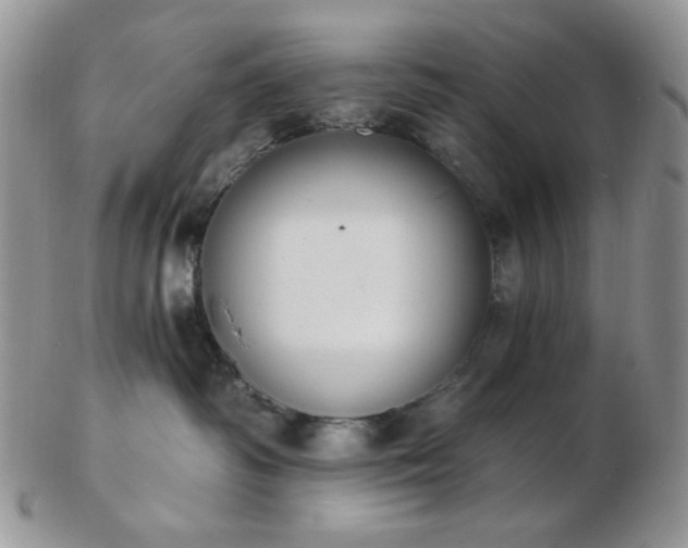 X0000102870334200808251247