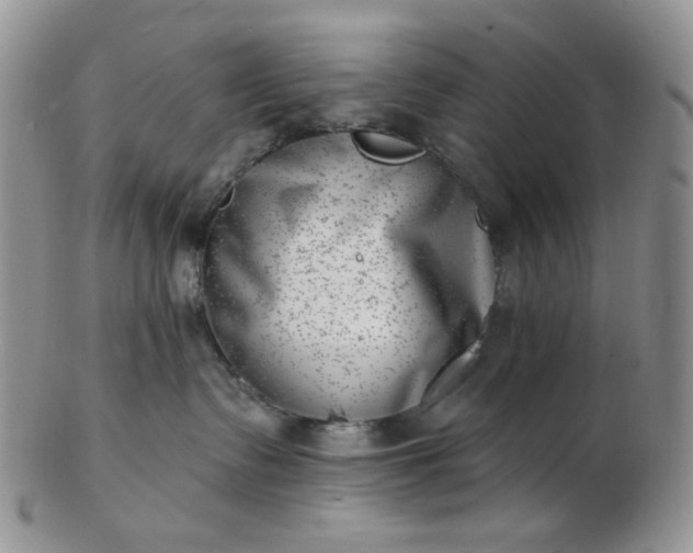 X0000102870335200808251247