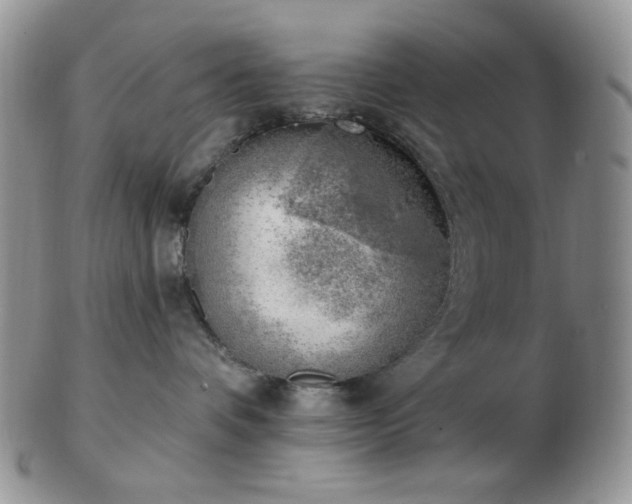 X0000102870336200808251247