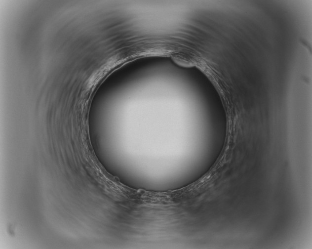 X0000102870337200808251246