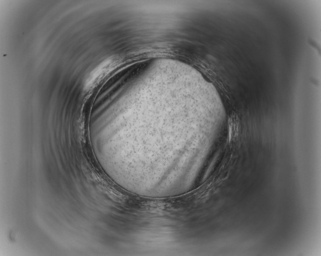 X0000102870339200808251246