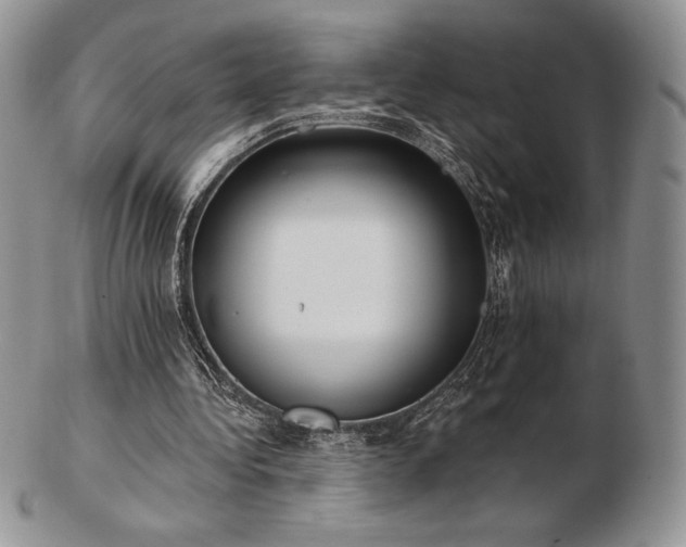 X0000102870340200808251246