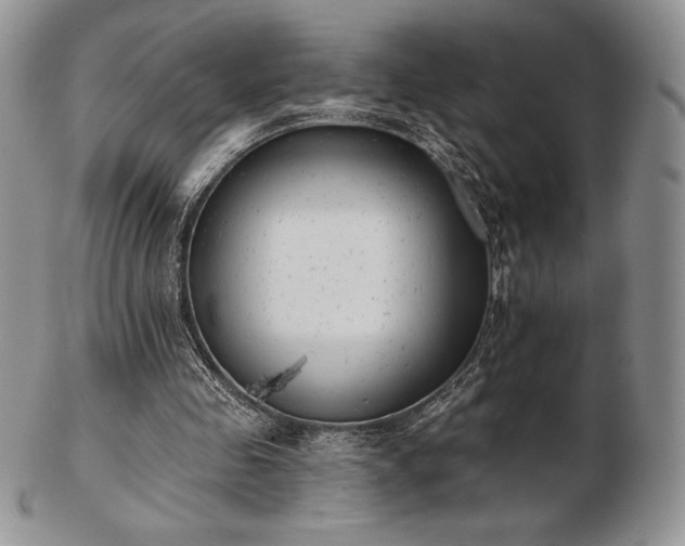 X0000102870341200808251246