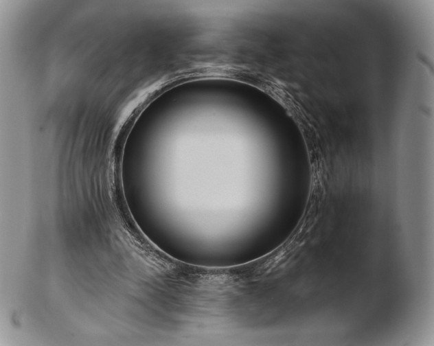 X0000102870342200808251246