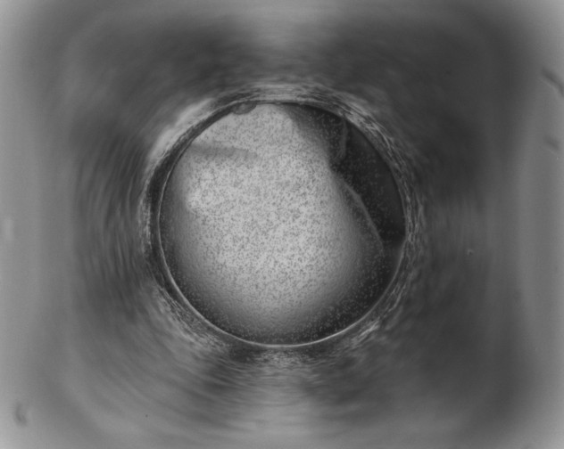 X0000102870343200808251246