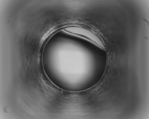 X0000102870344200808251246