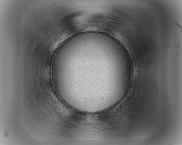 X0000102870345200808251246