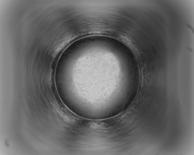 X0000102870346200808251246