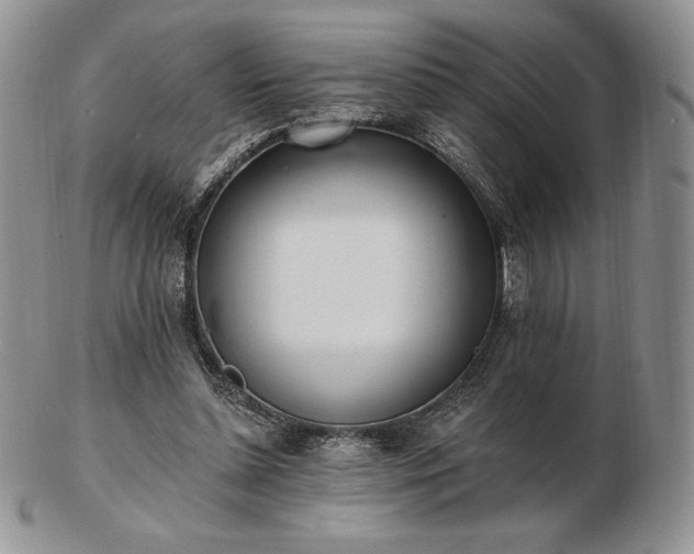 X0000102870348200808251246