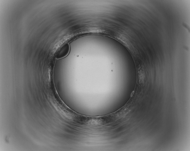 X0000102870350200808251246