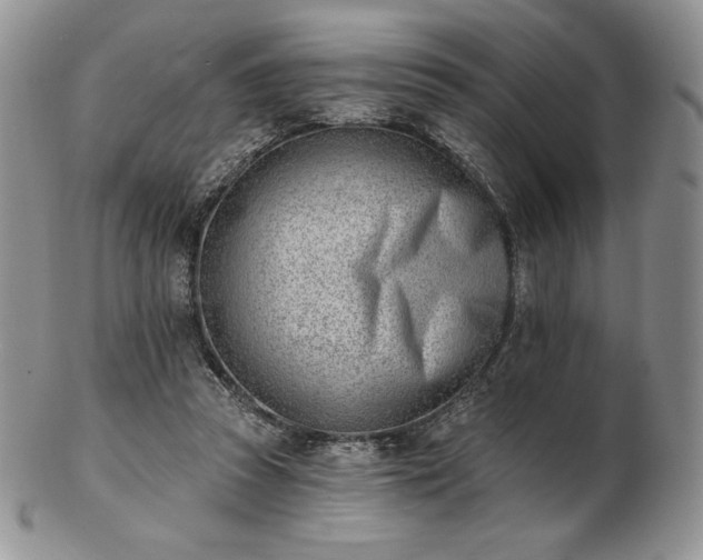 X0000102870353200808251246