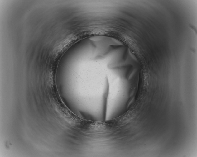 X0000102870354200808251246