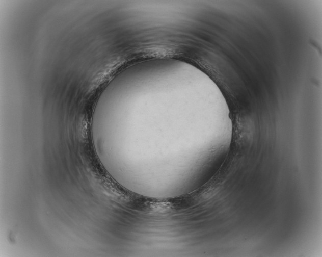 X0000102870355200808251246