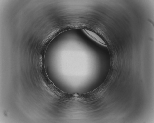 X0000102870356200808251246