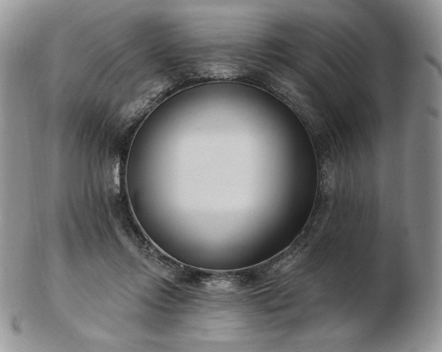 X0000102870358200808251246