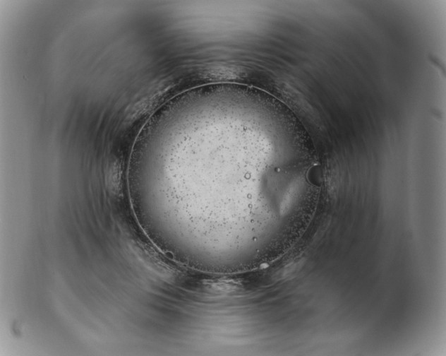 X0000102870359200808251246