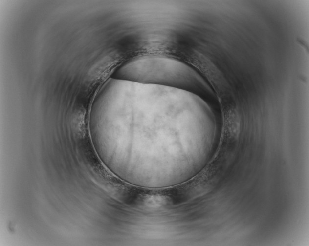 X0000102870360200808251246