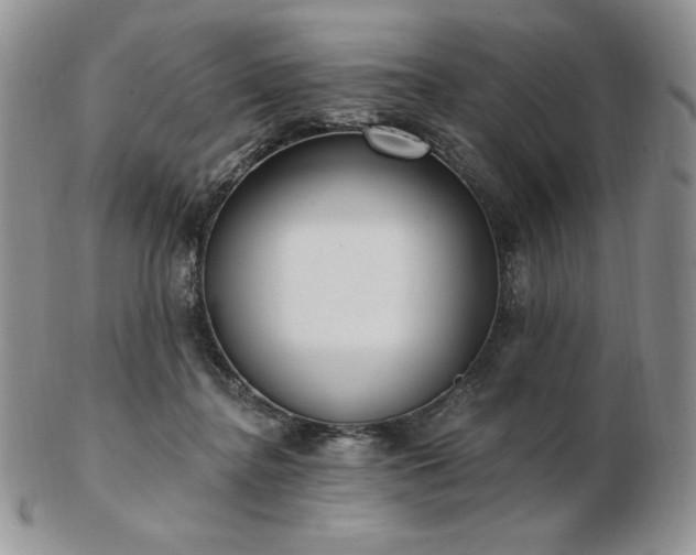 X0000102870364200808251246