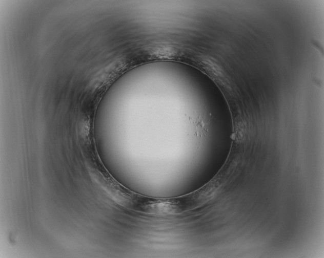 X0000102870365200808251246