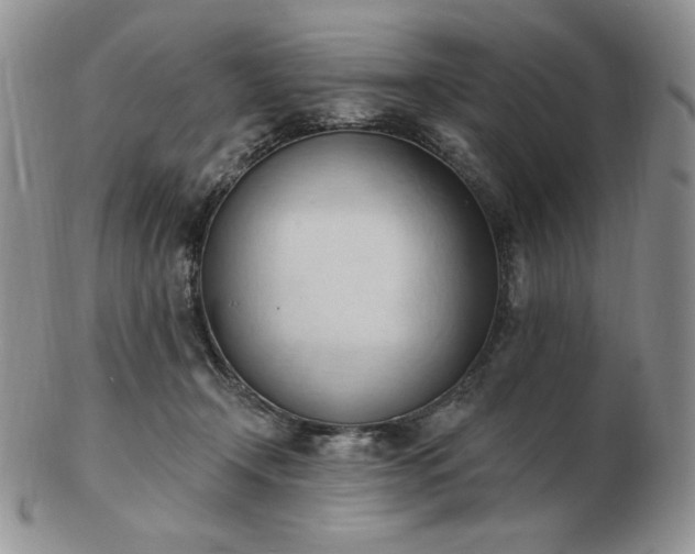 X0000102870366200808251246