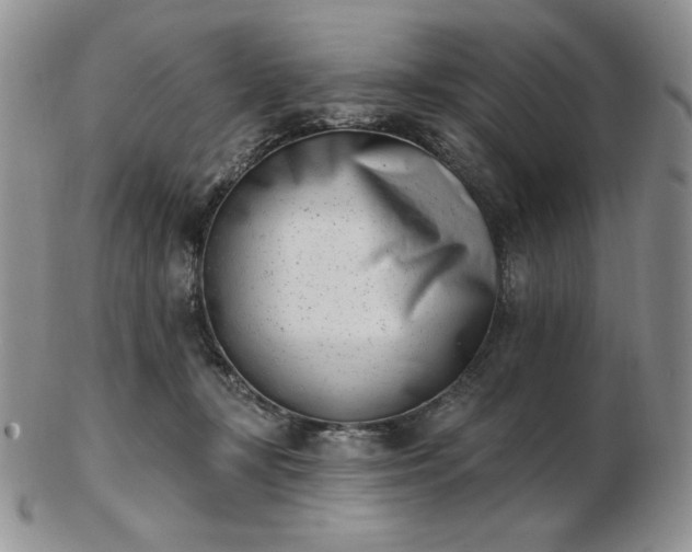 X0000102870367200808251246