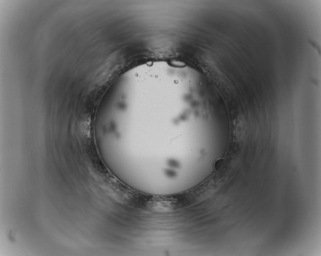 X0000102870368200808251246