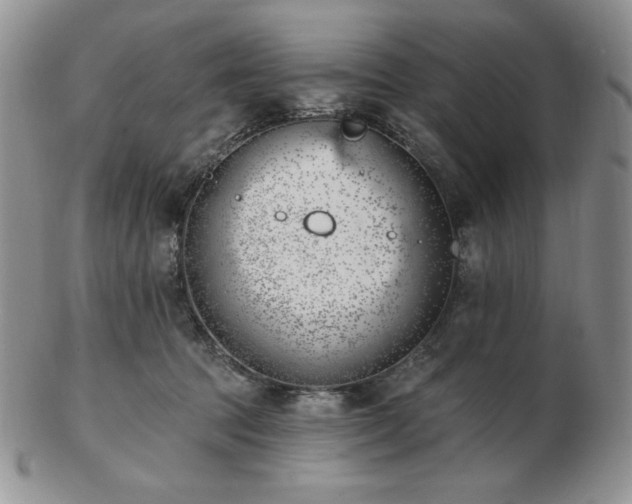 X0000102870369200808251246