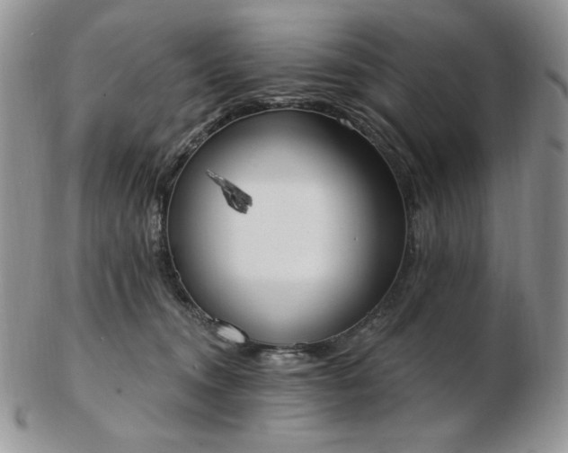 X0000102870372200808251247