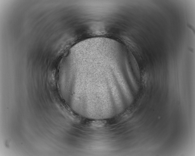 X0000102870373200808251247