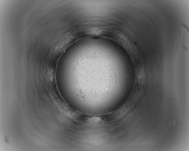 X0000102870374200808251247