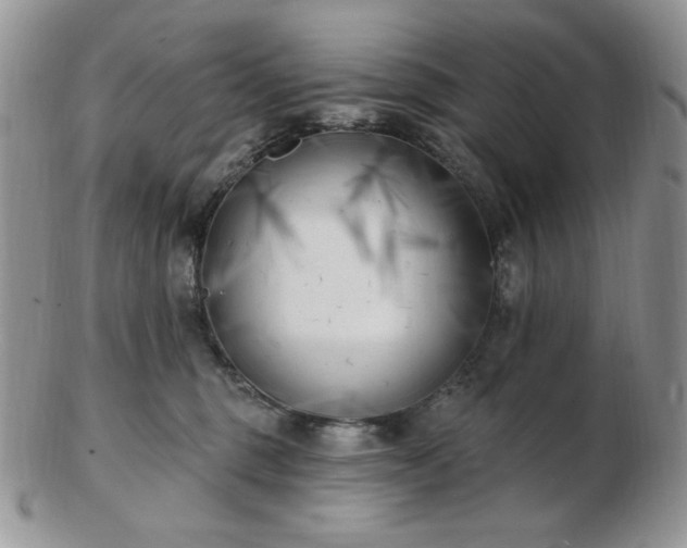 X0000102870375200808251247