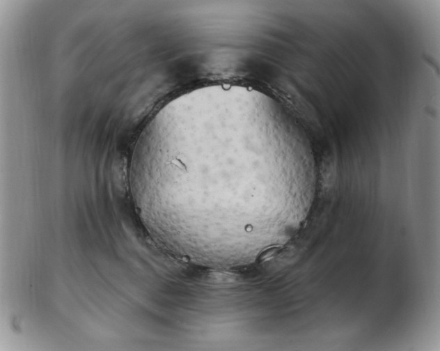 X0000102870376200808251247