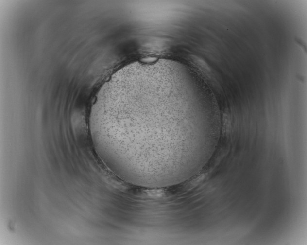 X0000102870377200808251247