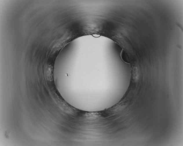 X0000102870378200808251247