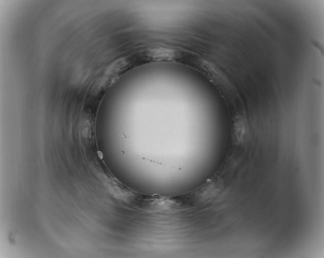 X0000102870379200808251247