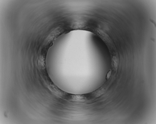 X0000102870380200808251247