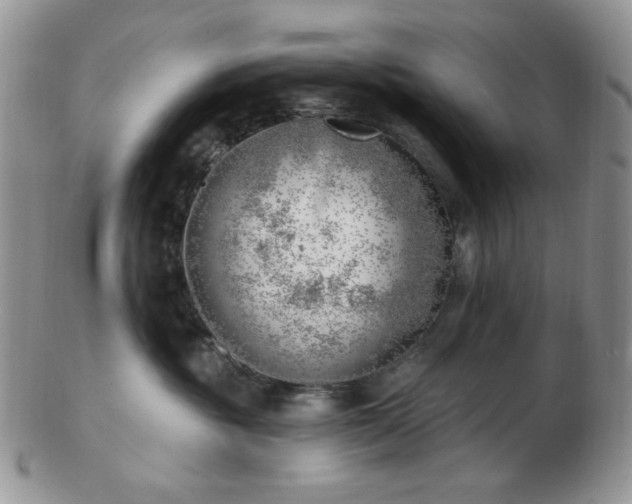 X0000102870381200808251247