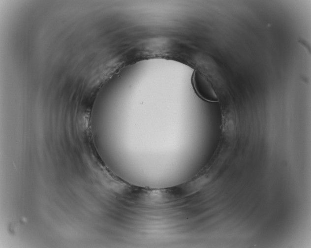 X0000102870382200808251247