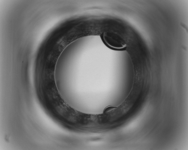 X0000102870383200808251247