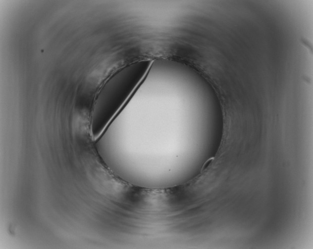 X0000102870384200808251247