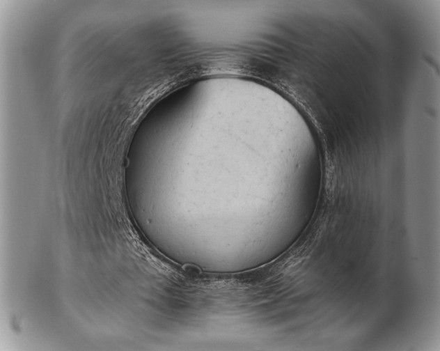 X0000102870385200808251246