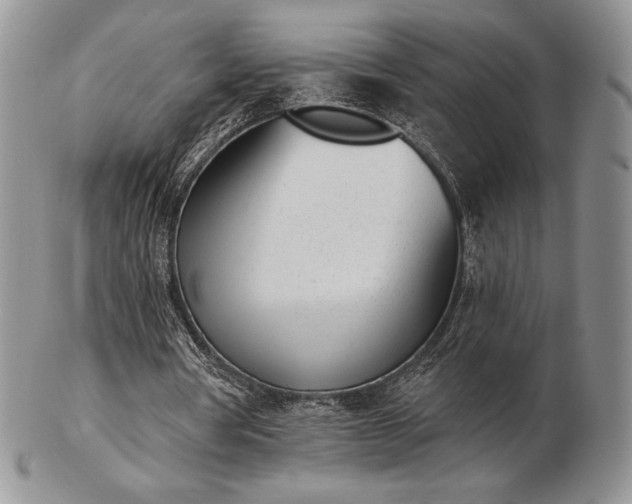 X0000102870386200808251246