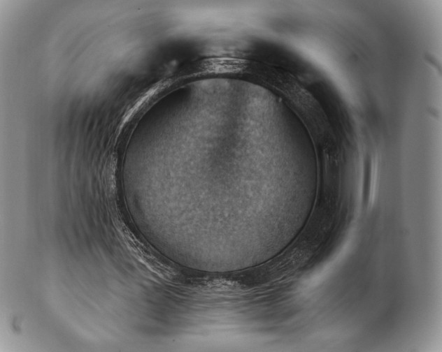 X0000102870387200808251246