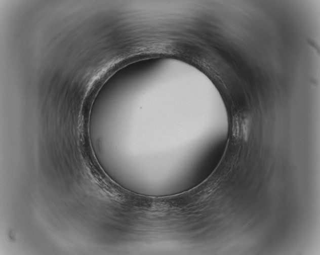 X0000102870388200808251246