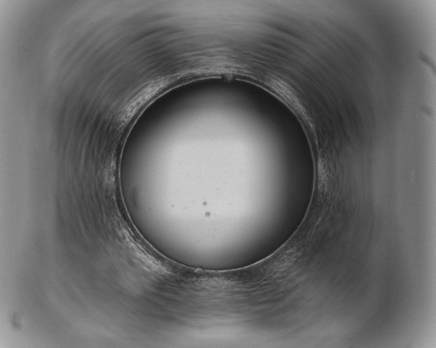 X0000102870389200808251246