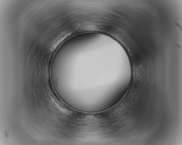 X0000102870390200808251246