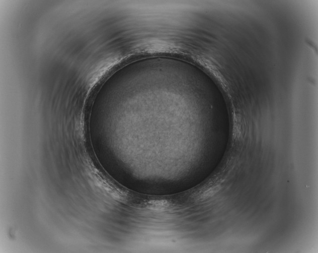 X0000102870391200808251246