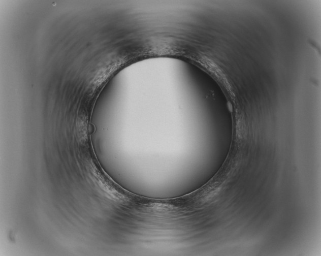 X0000102870393200808251246